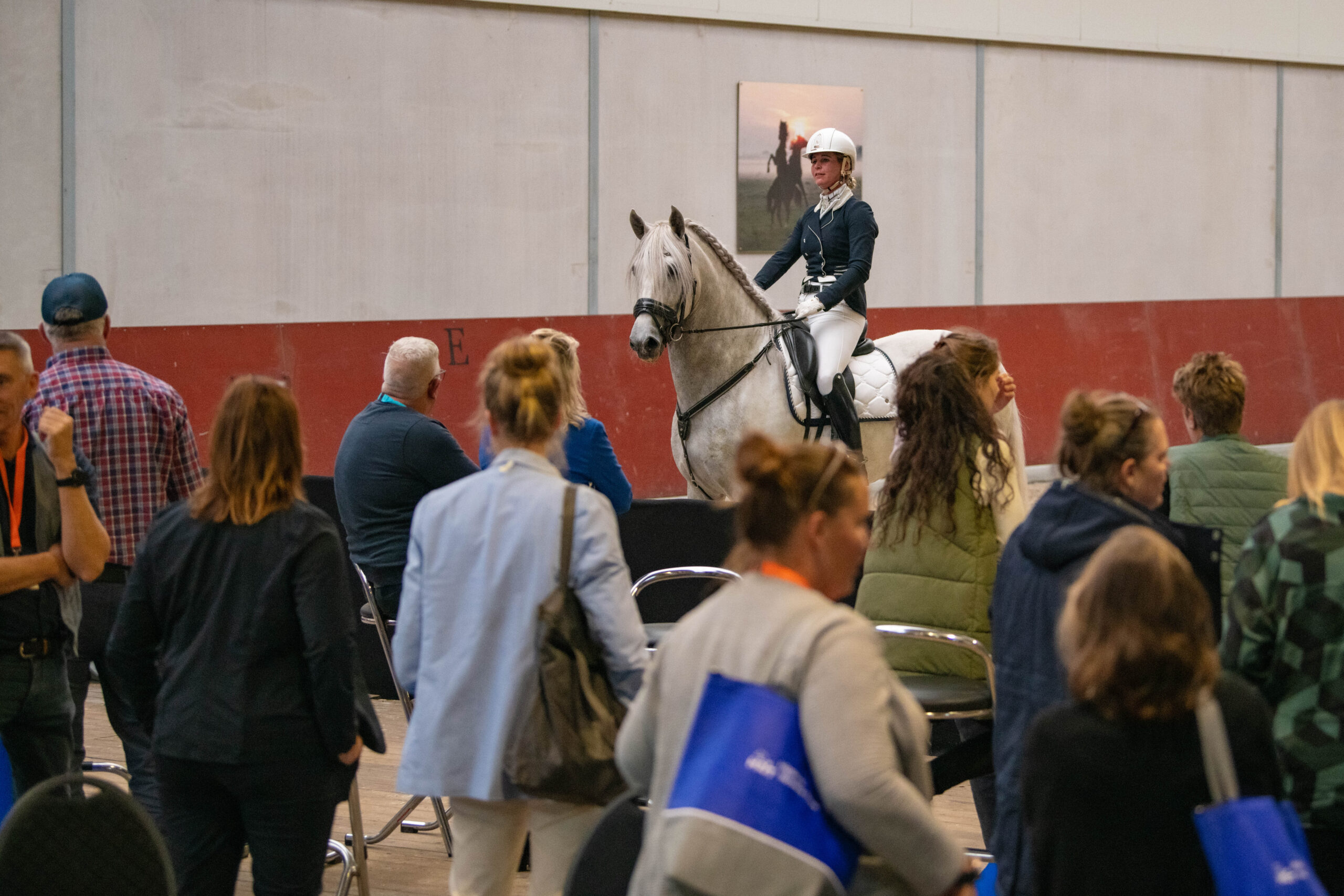 Hippisch Netwerk Event